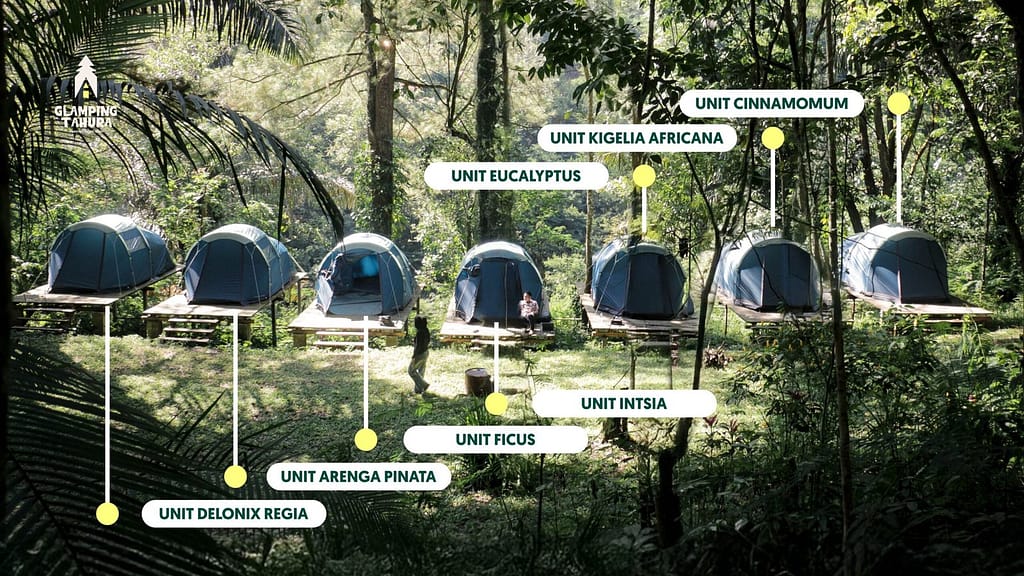 Tenda Deck Cikapundung Berjejer rapi di Glamping Tahura Dago Pakar Bandung